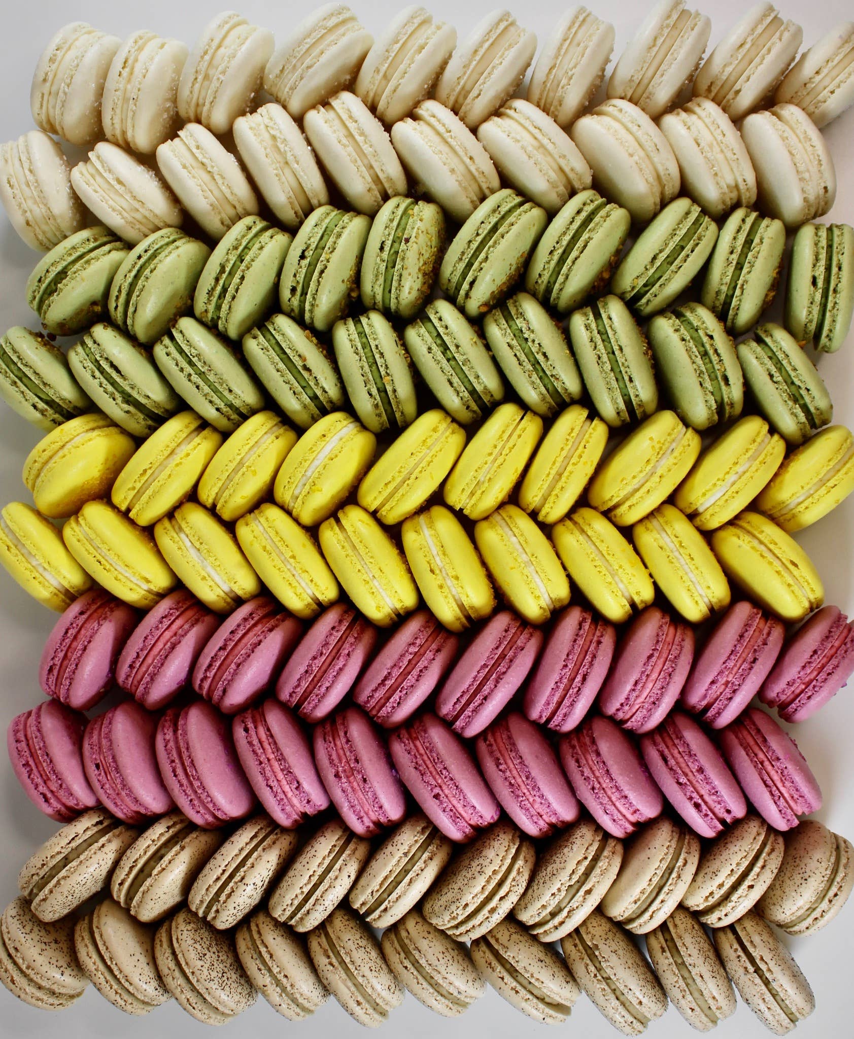 Savor Patisserie - Wholesale Cookie - The Classics Collection - Bulk French Macarons2