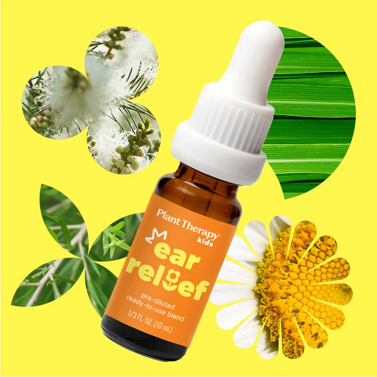 Plant Therapy - Wholesale Essential Oil - Ear Relief KidSafe Essential Oil 10 mL3
