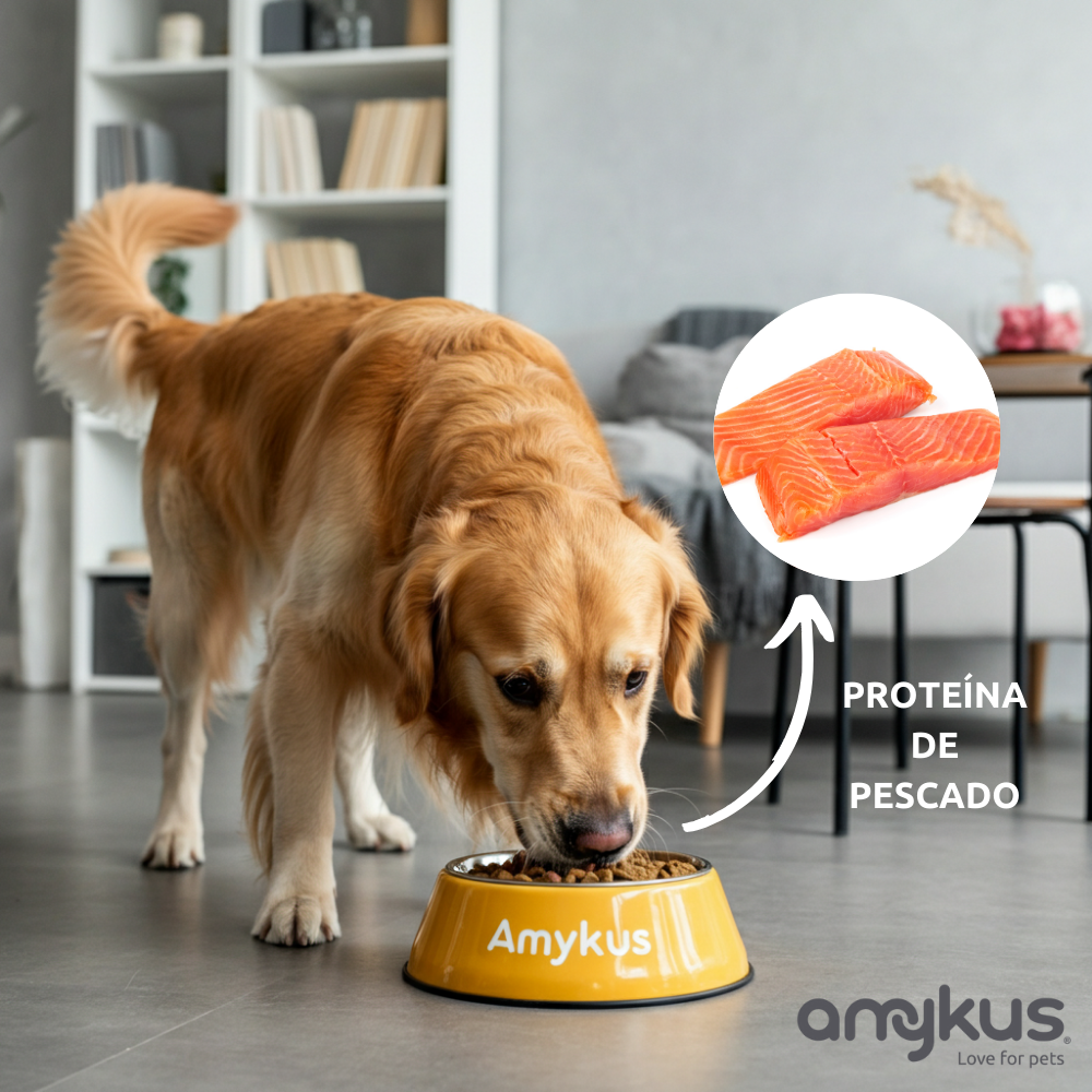 Amykus - Venta al por mayor Comida - Perros - Amykus Original Fish - pienso de pescado para perros adultos4