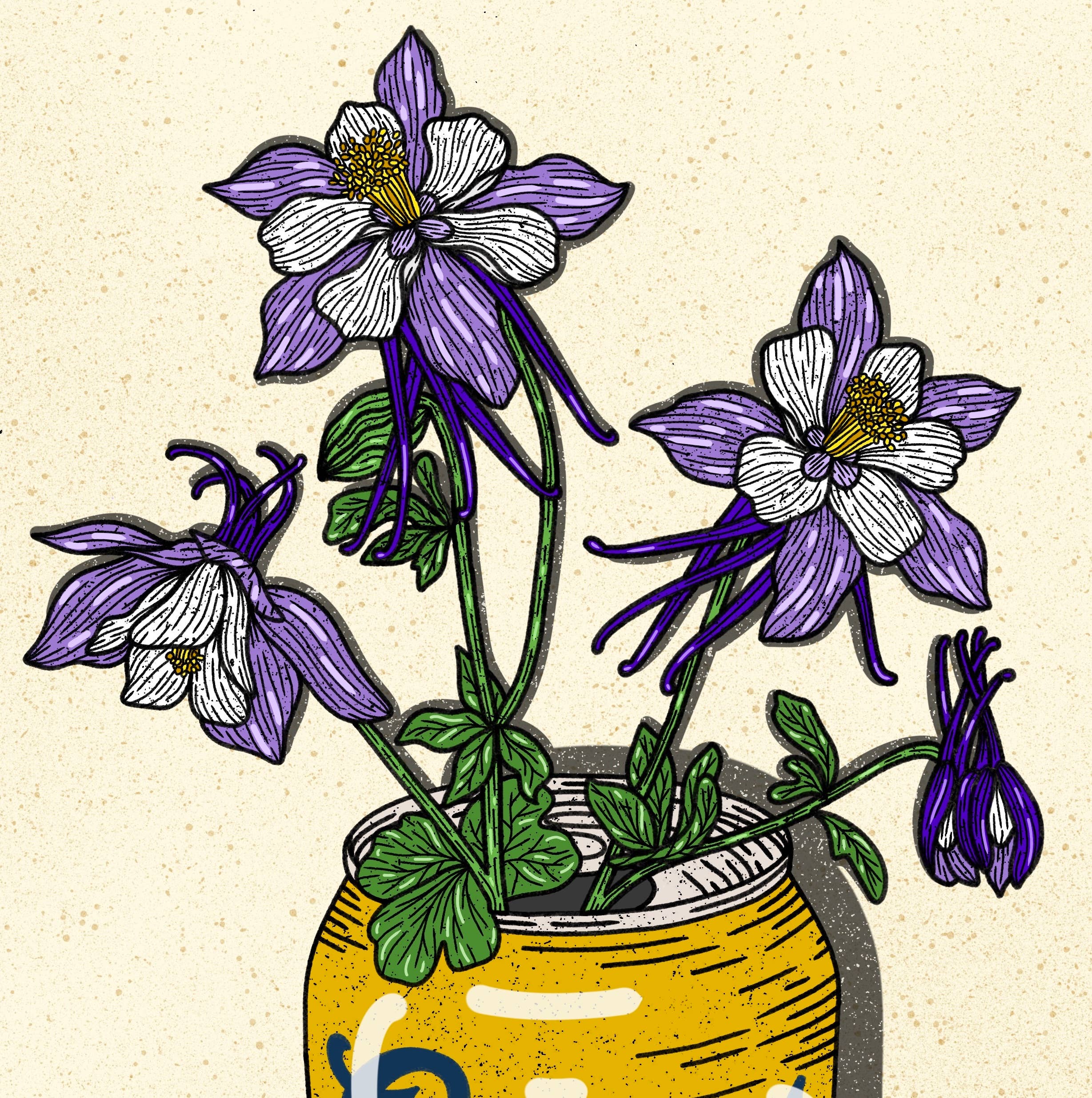 Howdy Studio - Wholesale Art Print - Coors Banquet Beer Can1