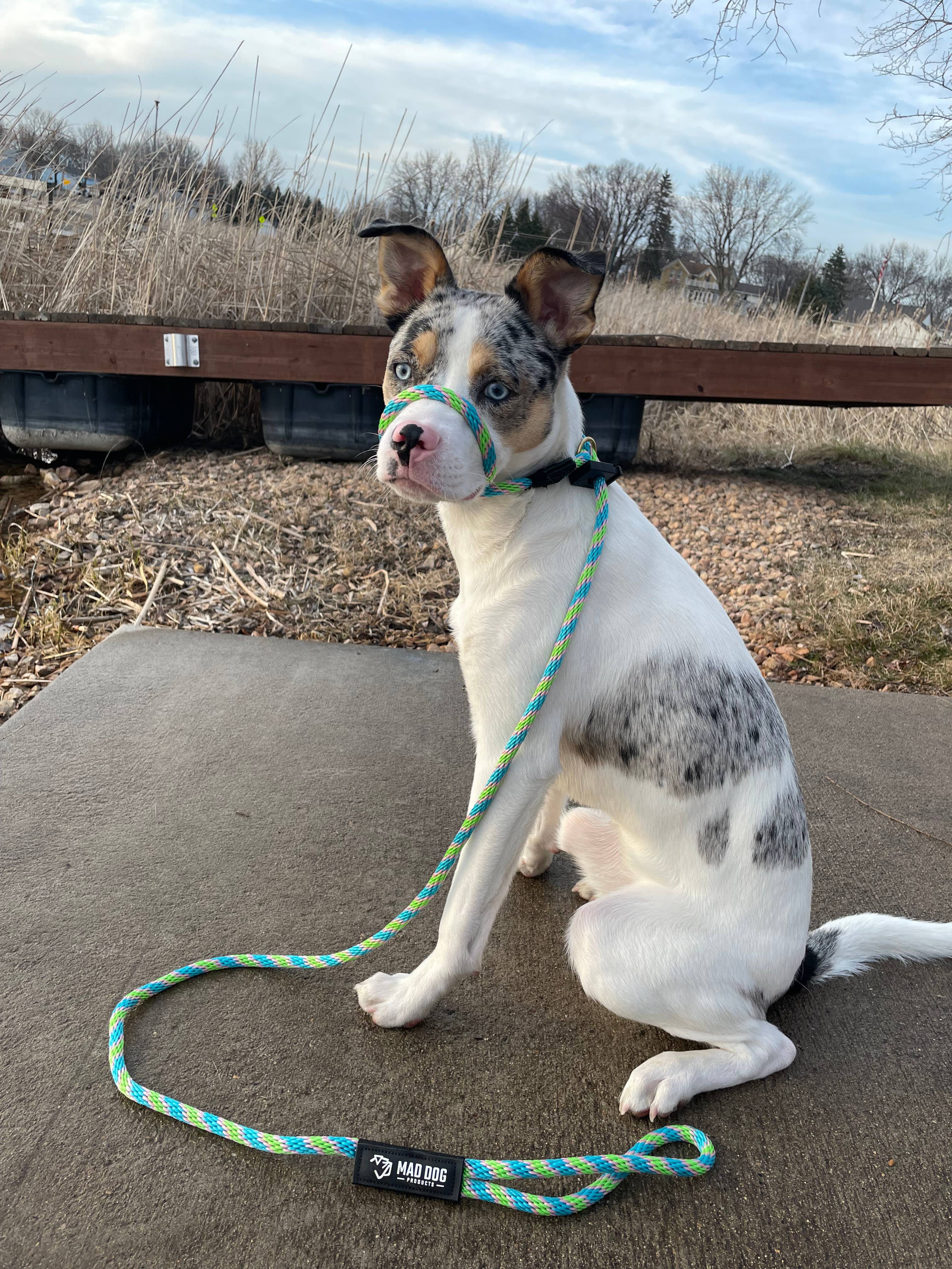 Mad Dog Products - Wholesale Pet Leash - Dog - English Slip Lead - Signature22