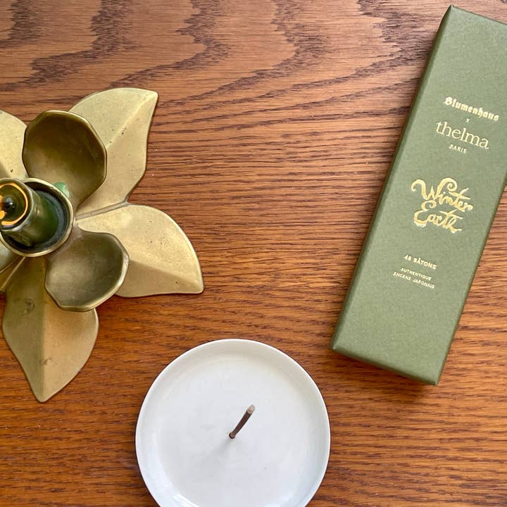 Thelma Paris - Wholesale Incense - WINTER EARTH - Box of 48 incense sticks0