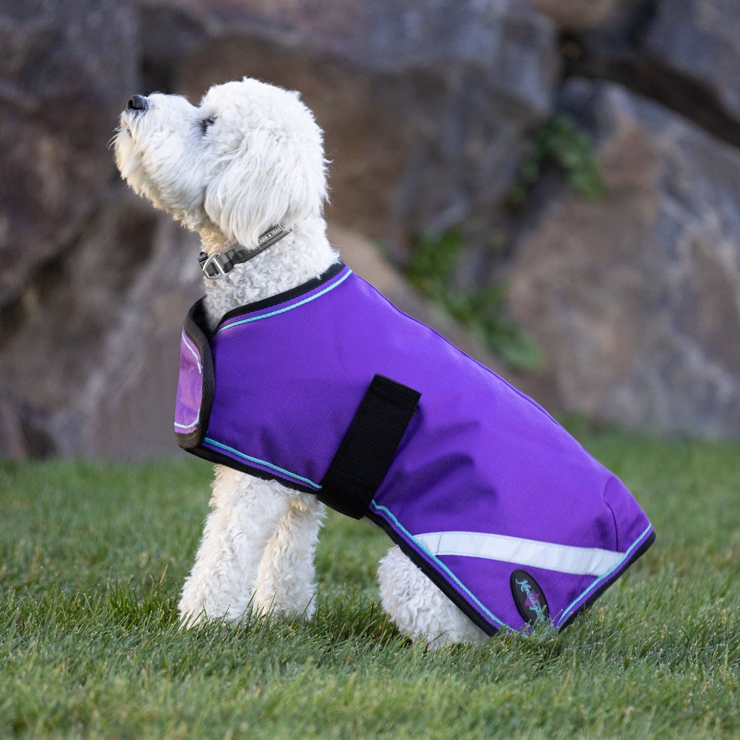 Kensington - Wholesale Pet Coat - Dog - 1200Denier "180G" Medium Weight Waterproof & Breathable Dog Coat6