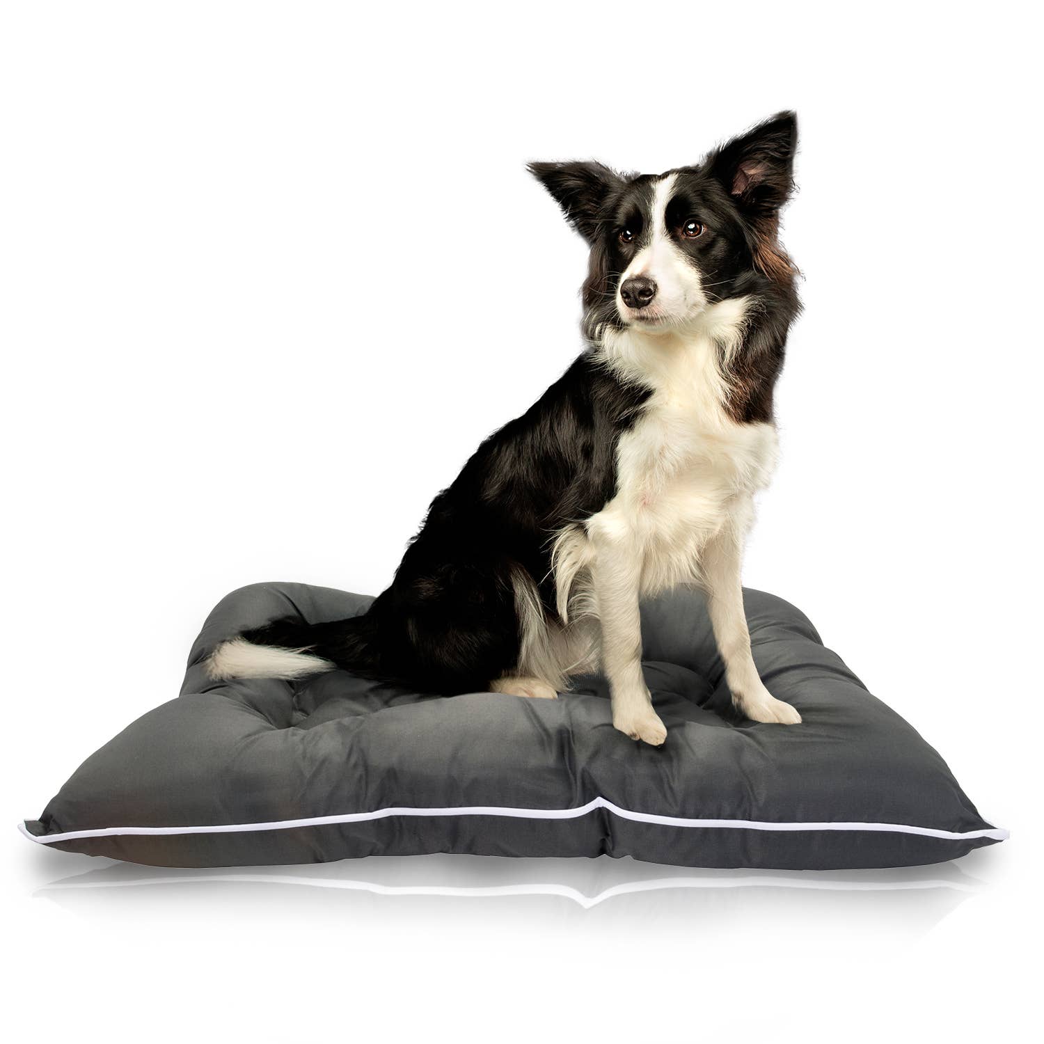 Precious Tails - Vente Panier – chien - Lit pour animal domestique Precious Tails « Go Anywhere » résistant à l'eau et aux mastications30