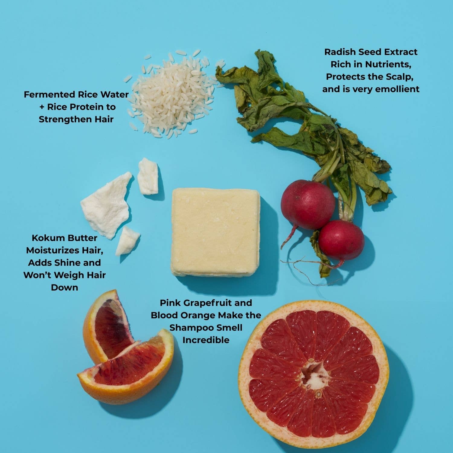 Farmbody Skin Care - Wholesale Shampoo Puck/Solid Shampoo - Solid Shampoo Bar for Thick or Curly Hair1