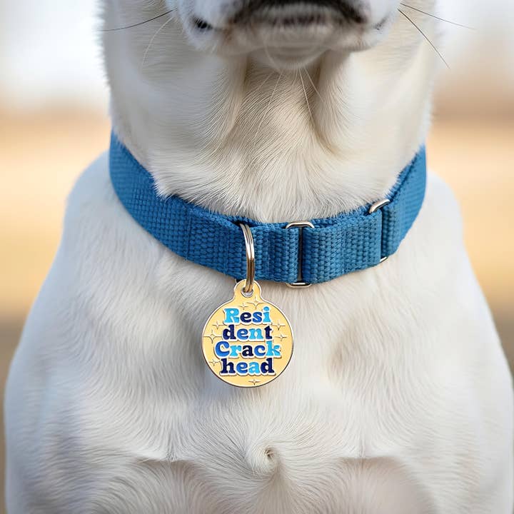 Bad Tags - Wholesale Pet Identification Tag - Cat/Dog - Enamel Dog Tag w/ Scannable ID - Resident Crackhead *Orange2