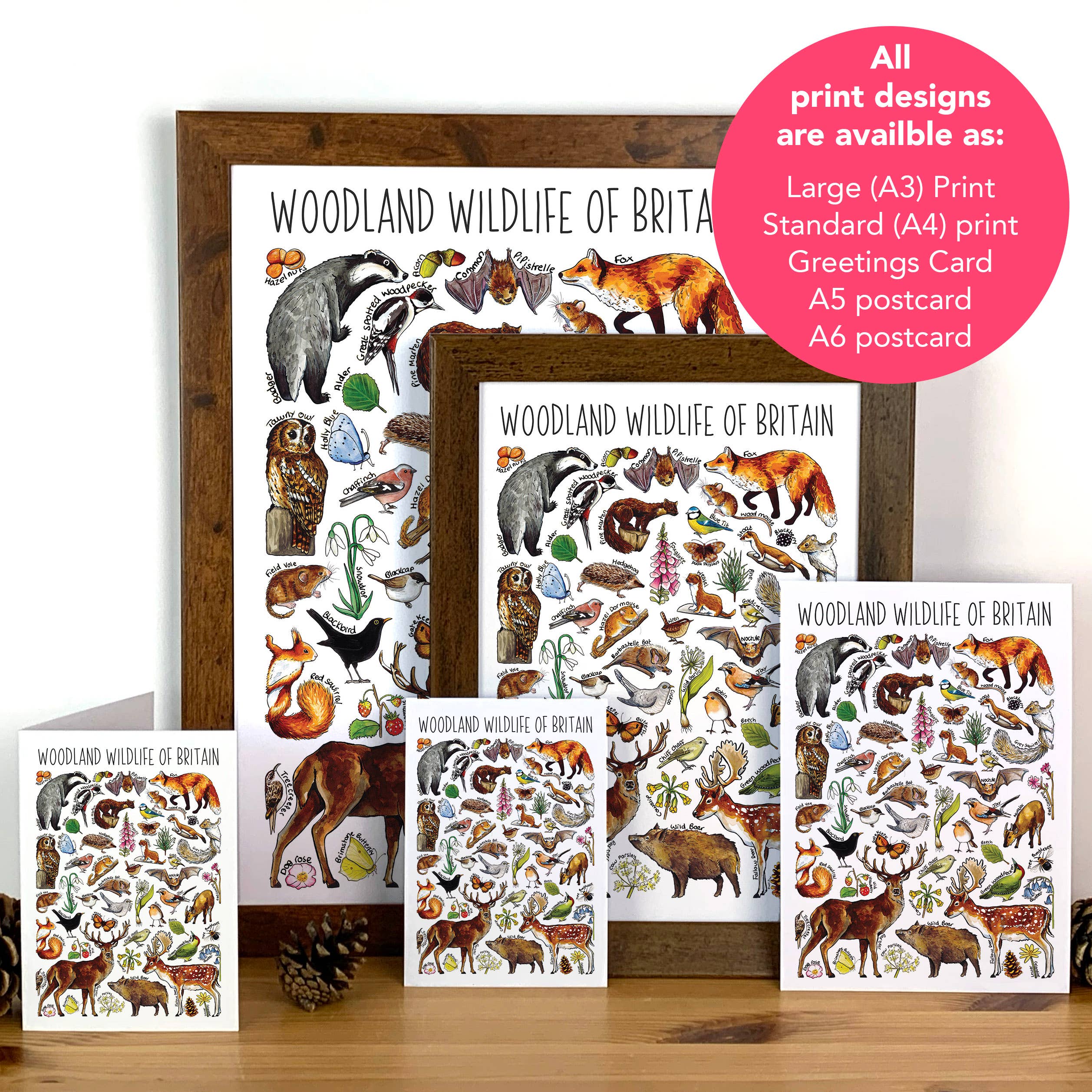 Alexia Claire Ltd - Wholesale Postcard - Woodland Wildlife of Britain Art Blank Postcard3