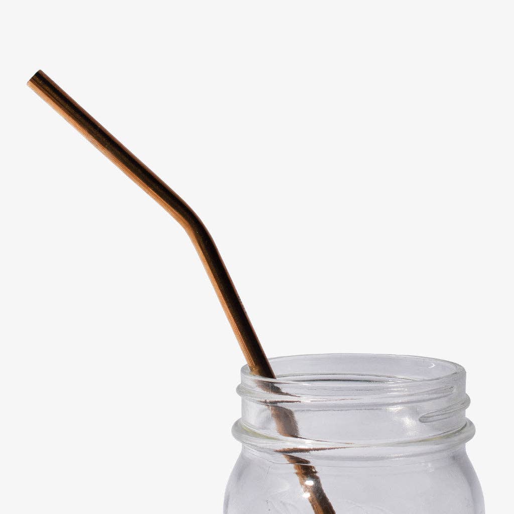 Package Free - Wholesale Drinking Straw - Stainless Steel Straw - Bent1