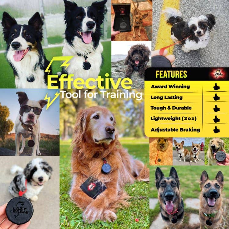 Lazy Leash! – wholesale Hundkoppel - Hund – Lat koppel! 19st Mini Power Koppel 10 Lådor + 9 Märkt Mix9