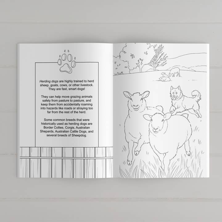 The Snow Finch - Wholesale Colouring book – Adult - Farmyard Friends Coloring Book4