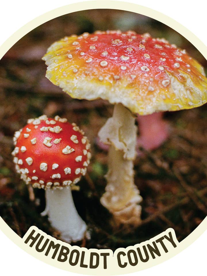 Champignon Amanita
Comté de Humboldt - 4 pouces de diamètre Autocollant pour la vente par Will Suiter Photography & Studio