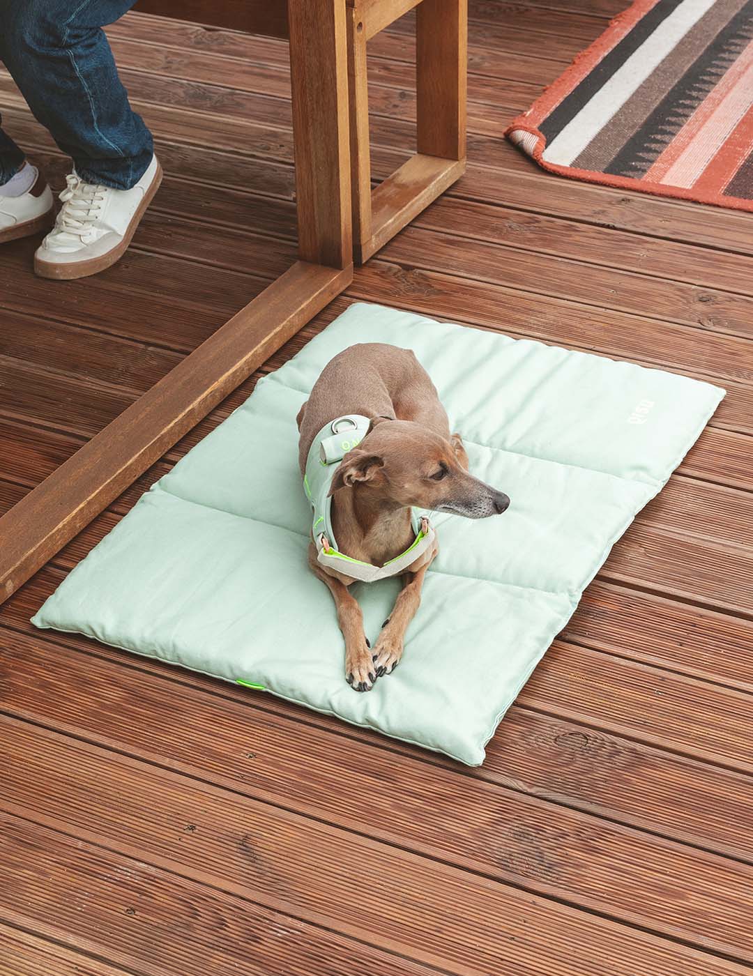 Qisu - Wholesale Pet Bed - Dog - Dog bed | Nomad Bed1