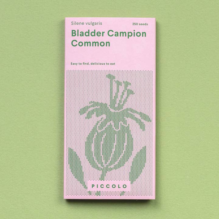 Bladder Campion Common for wholesale by Piccolo Seeds