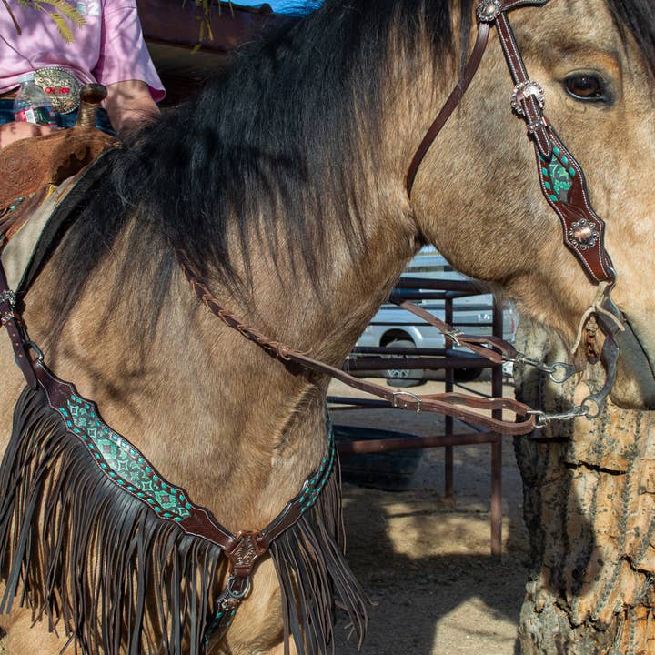 Dalton Fringe Headstall and Breast Collar Set for wholesale by Schulz Equine