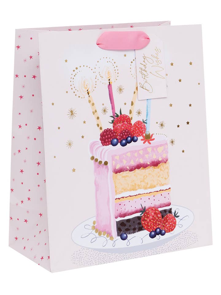 Birthday Cake Slice Large Bag for wholesale by Ballyhoo