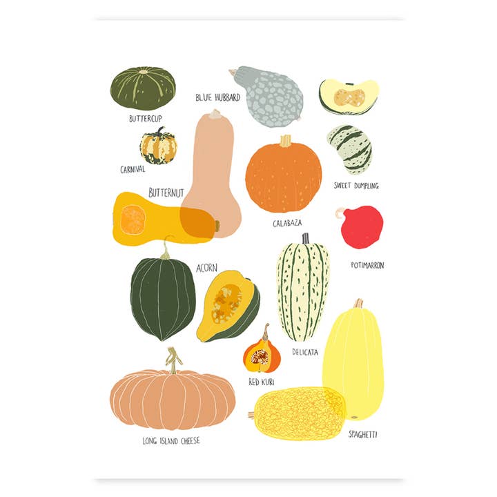 Winter Squash Art Print for wholesale by Claudia Pearson