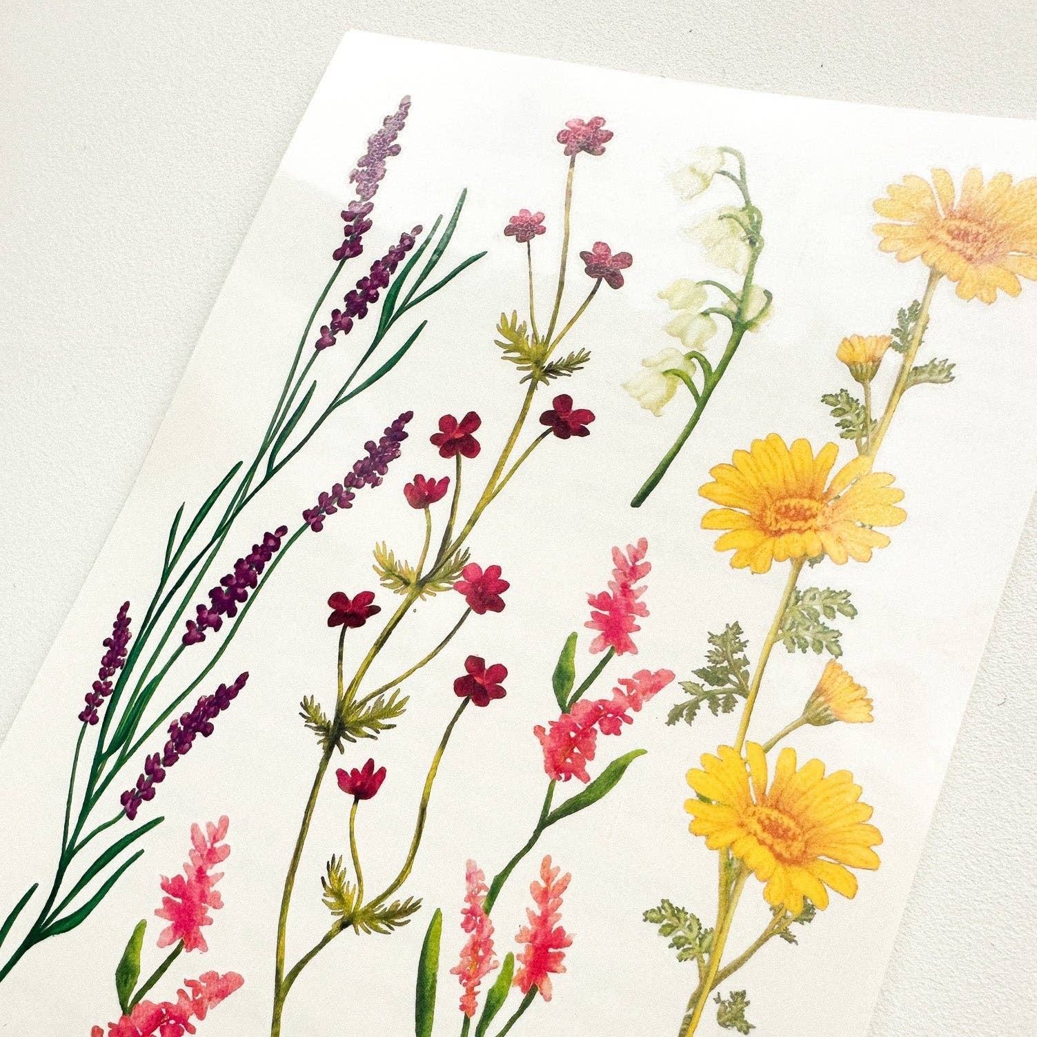 Les Tatoués - Wholesale Temporary Tattoo - Kids - Delicate Flowers - Temporary Tattoos2