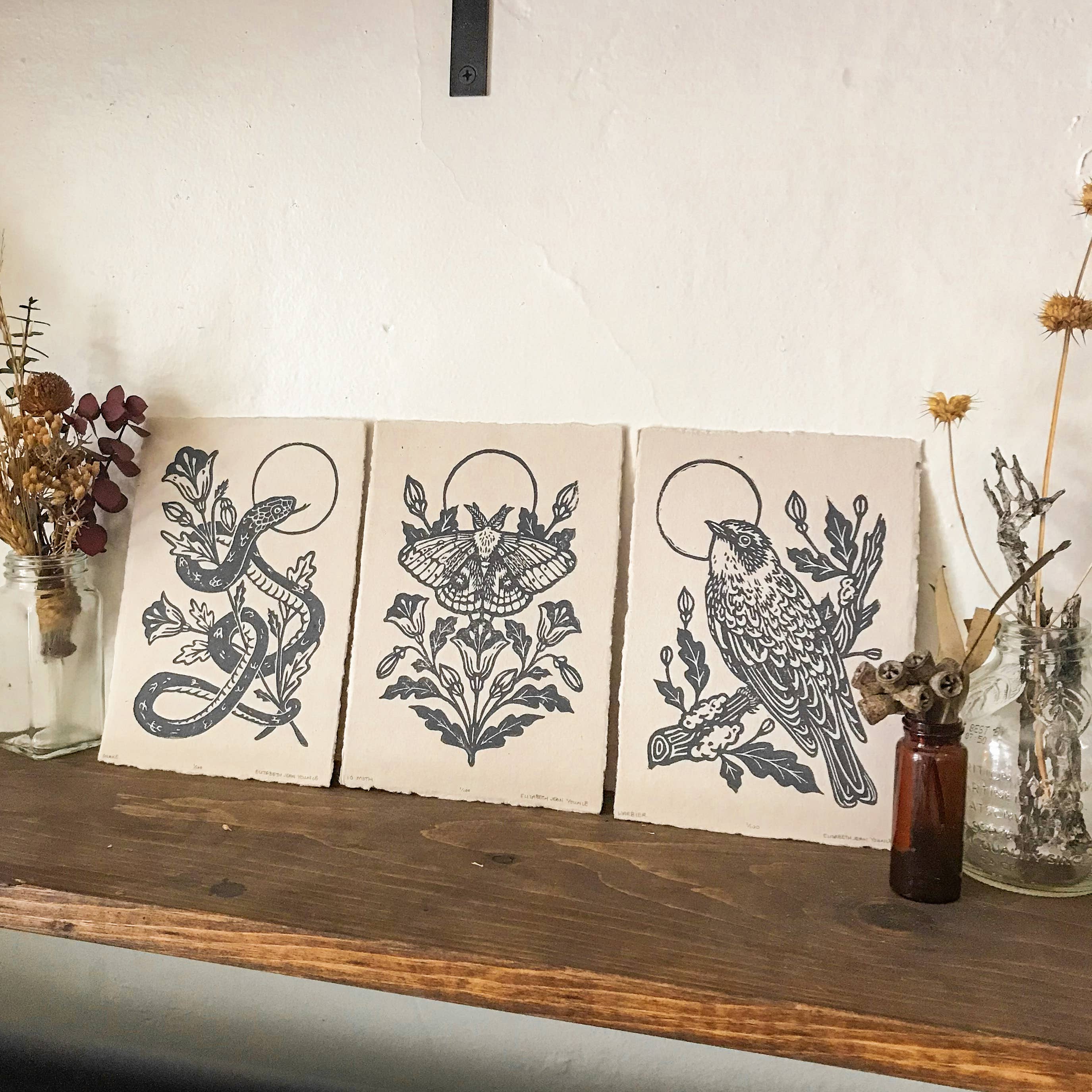 Mustard Beetle - Wholesale Art Print - IO Moth & Poppies Handprinted Linocut on Handmade Paper 5x7"8