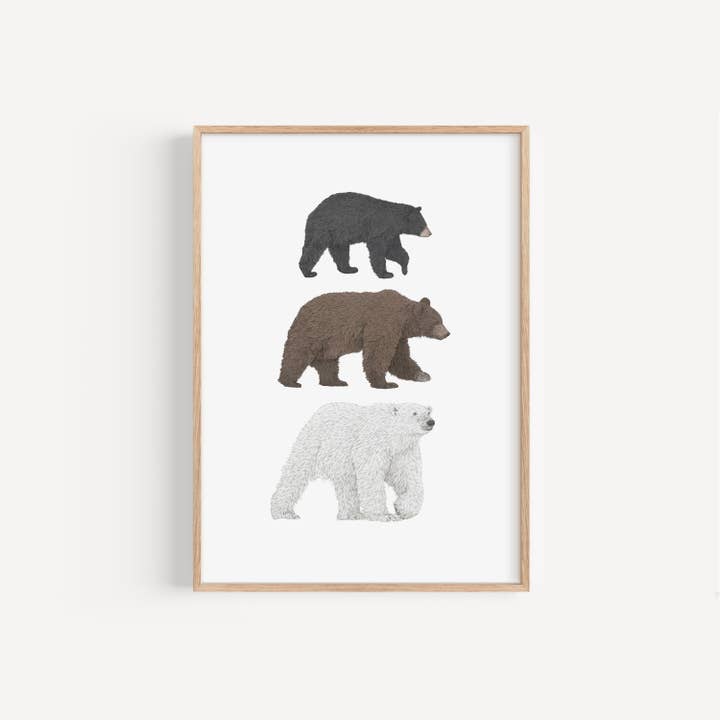 3 Bear Species Print for wholesale by Lauren Fitton Illustration