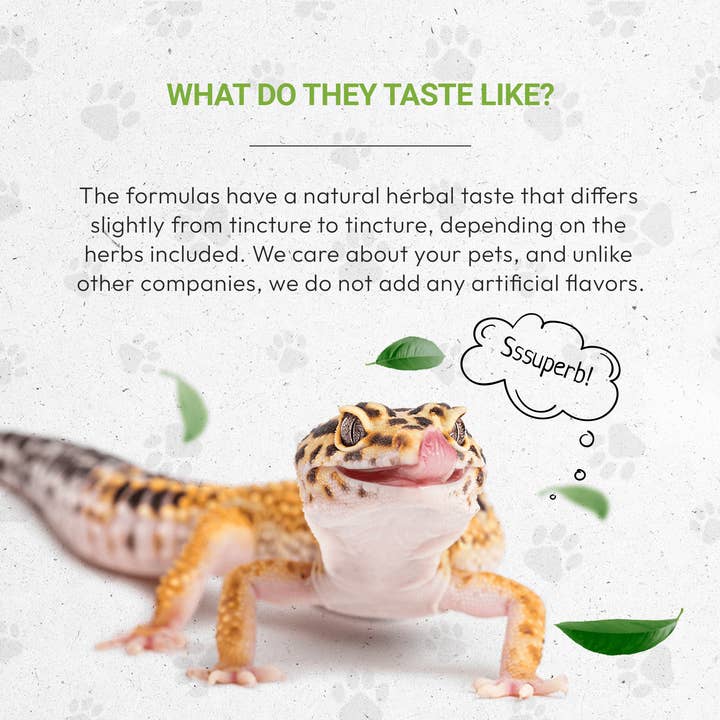 Secrets Of The Tribe - Wholesale Pet Supplement - Not Cat/Dog - Reptilian bones. Healthy Bones Support in Reptiles5