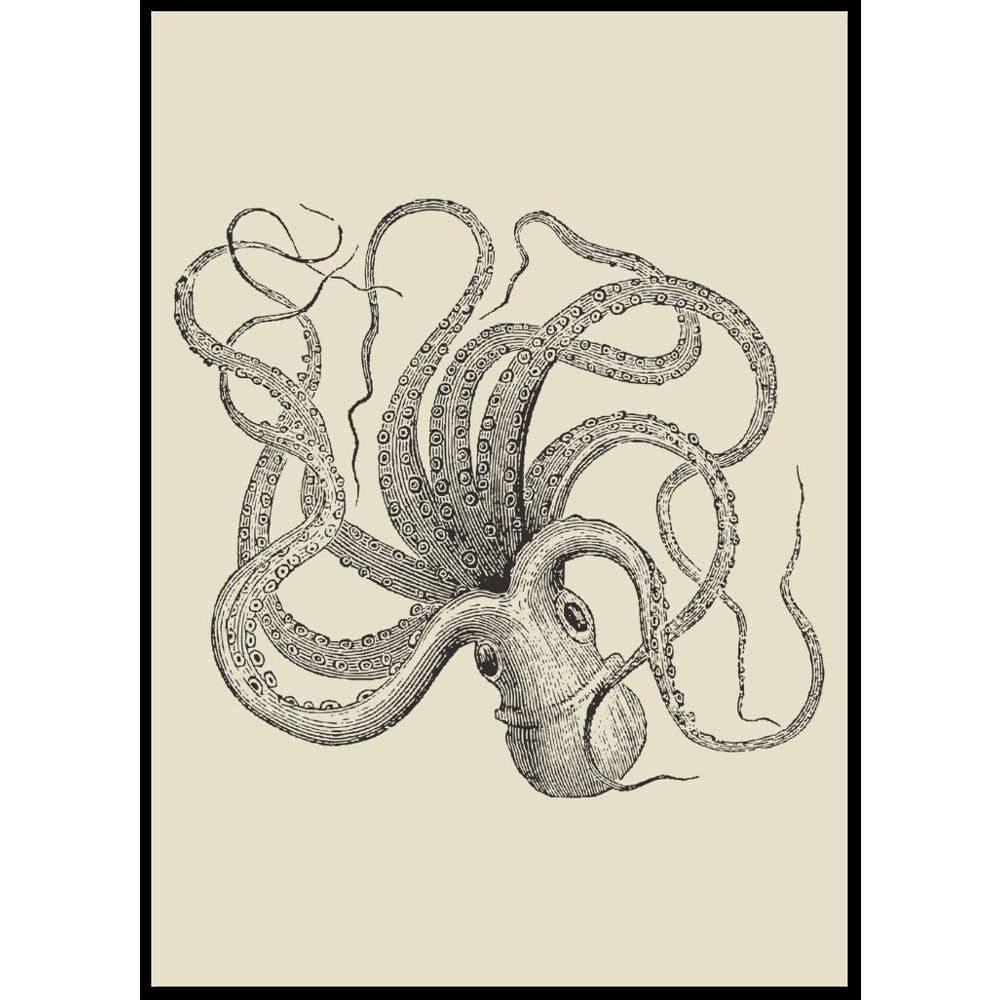 Vintage Wall Graphics - Vendita all'ingrosso Poster - Polpo Decorazione per Asilo Nido Polpo Marino Vita Marina7