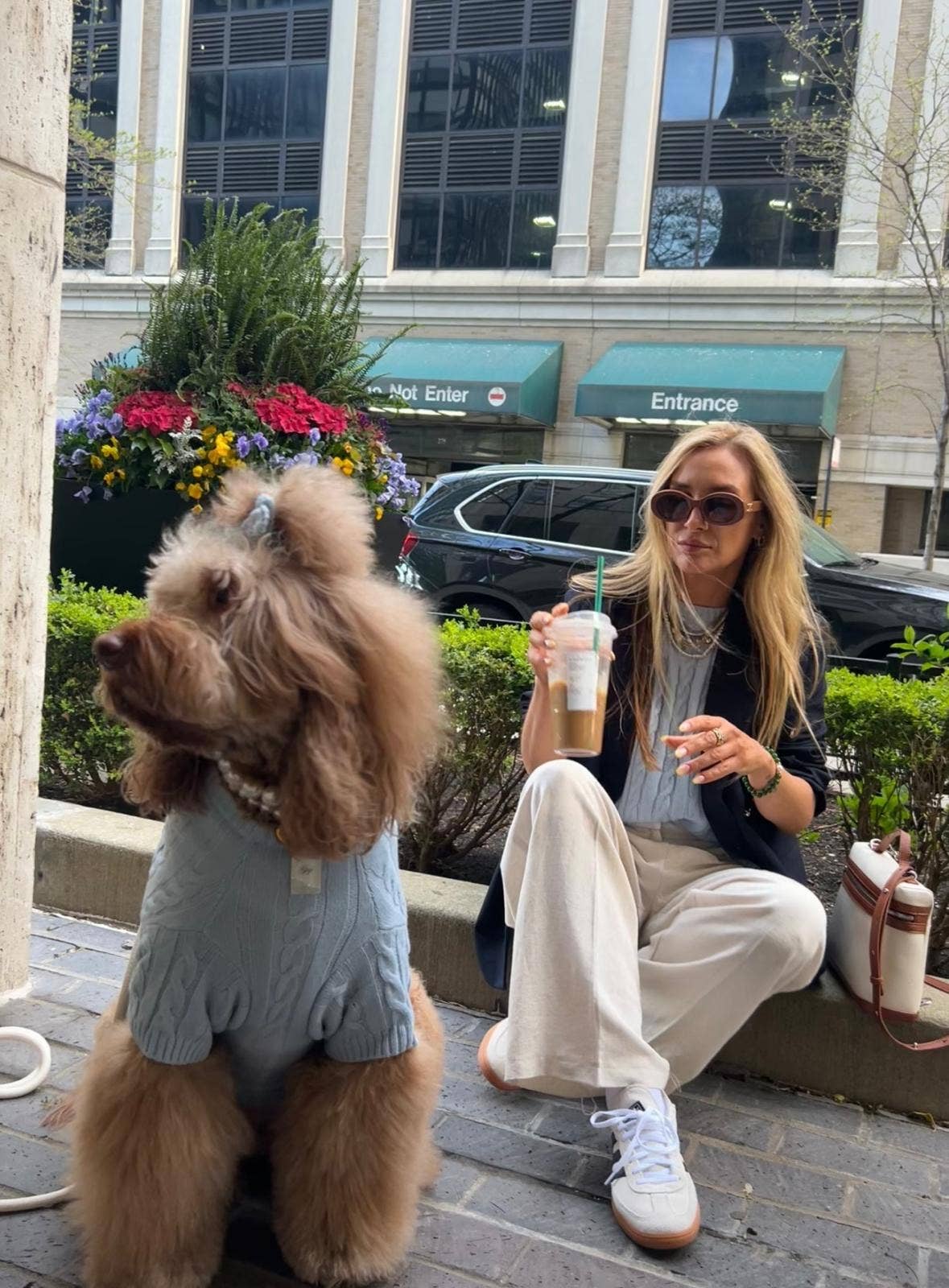 GIGI’S USA - Wholesale Pet Shirt - Dog - Cablette Blue Dog Shirt3