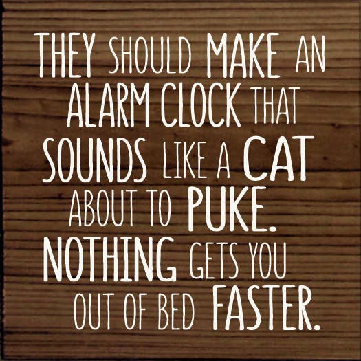SAWDUST CITY - Wholesale Sign - They should make an alarm clock that sounds like a cat..