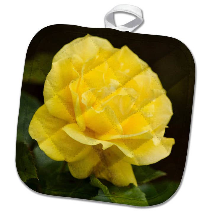 3dRose, Fotografi af en bleg pastelgul rose med lyse og prangende kronblade, Grydelap for engroshandel hos 3dRose