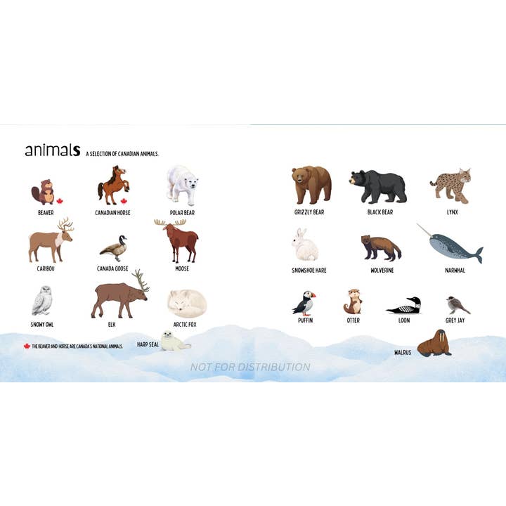 Doodle Paw Press - Wholesale Book - Kids - The Most Canadian Baby Book Ever Eh! Canada Theme Baby Book