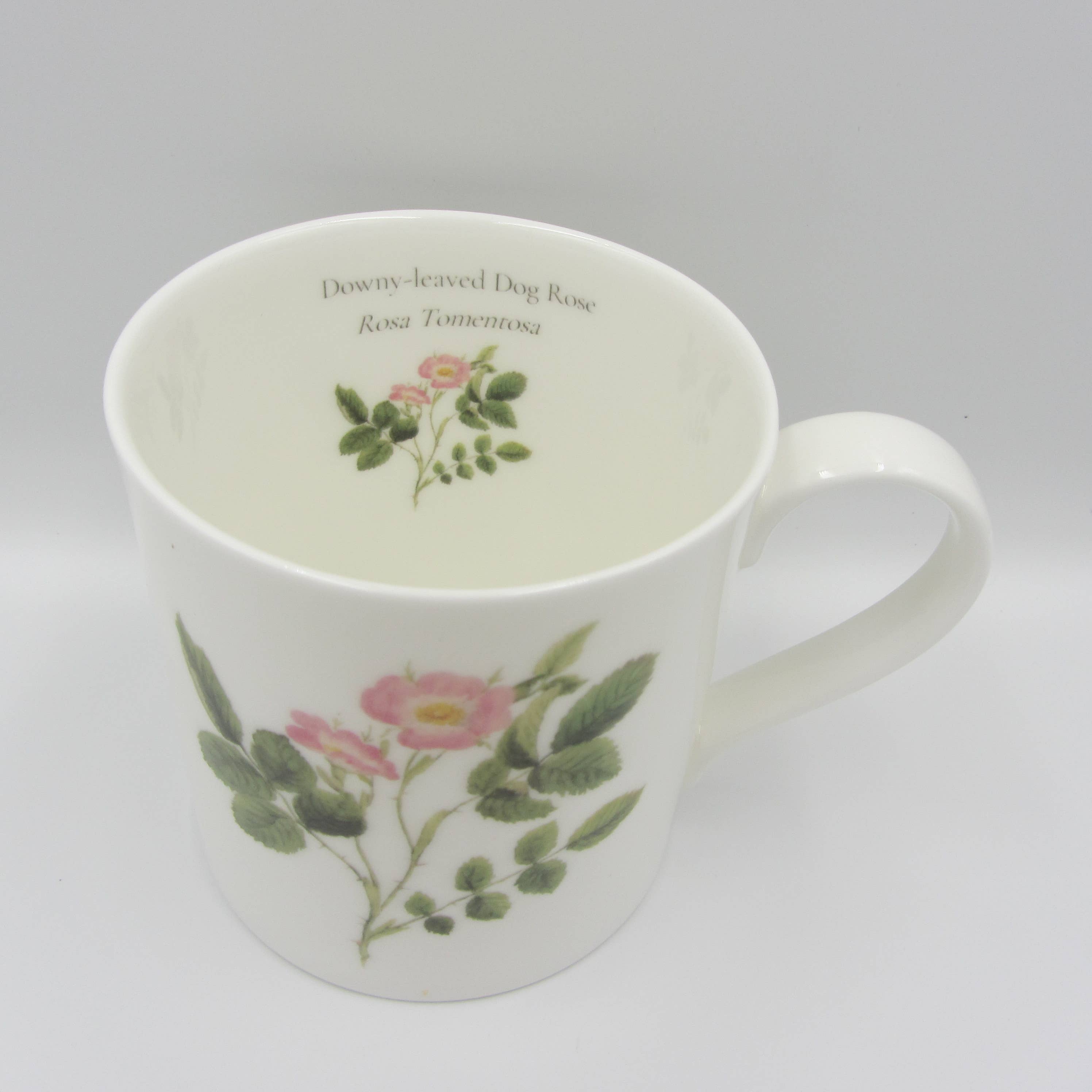Sophia Davenport - Wholesale Coffee Mug - Wildflower Fine Bone China Mugs Large 375ml5