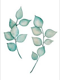 Postkort - Eucalyptus for engroshandel hos Wander by Elise