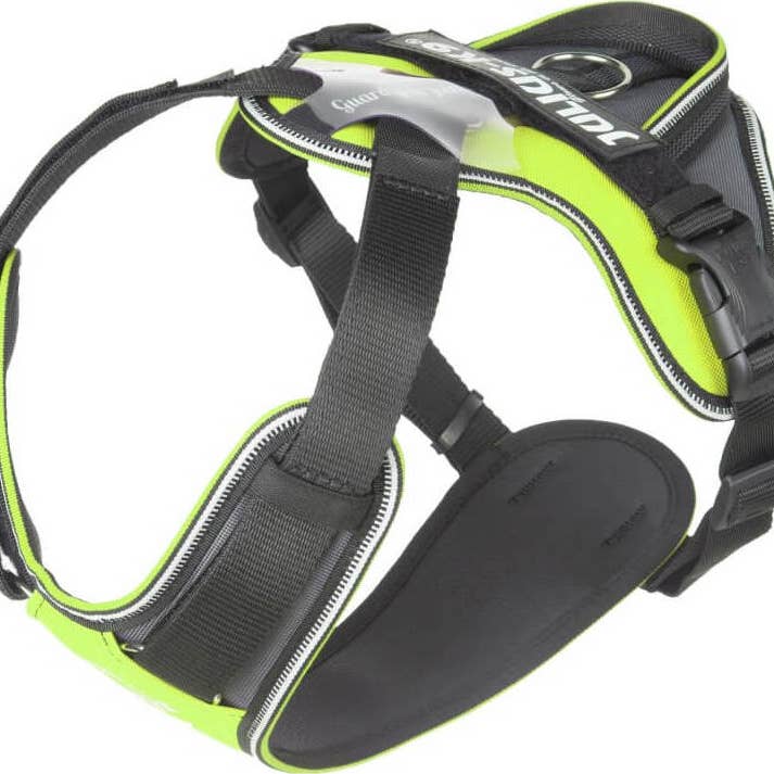 IDC Longwalk Neon for wholesale by K9 Shop