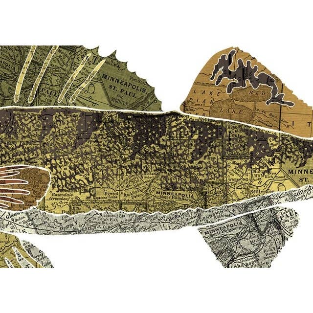 Wooden Pencil Company - Wholesale Art Print - Minnesota State Fish, Map Art - Walleye