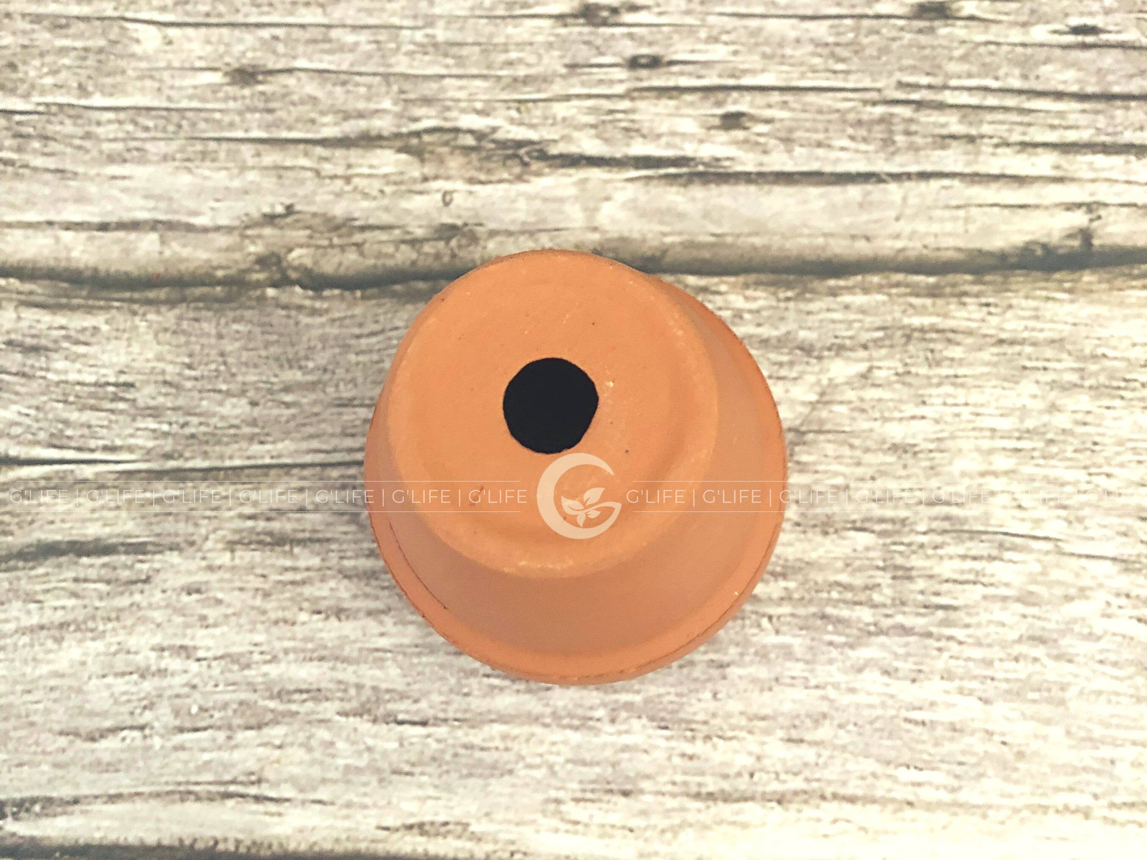 GLifee - Wholesale Plant Pot - 2" Tiny Terracotta Clay Plant Flower Pot - Drainage Hole7