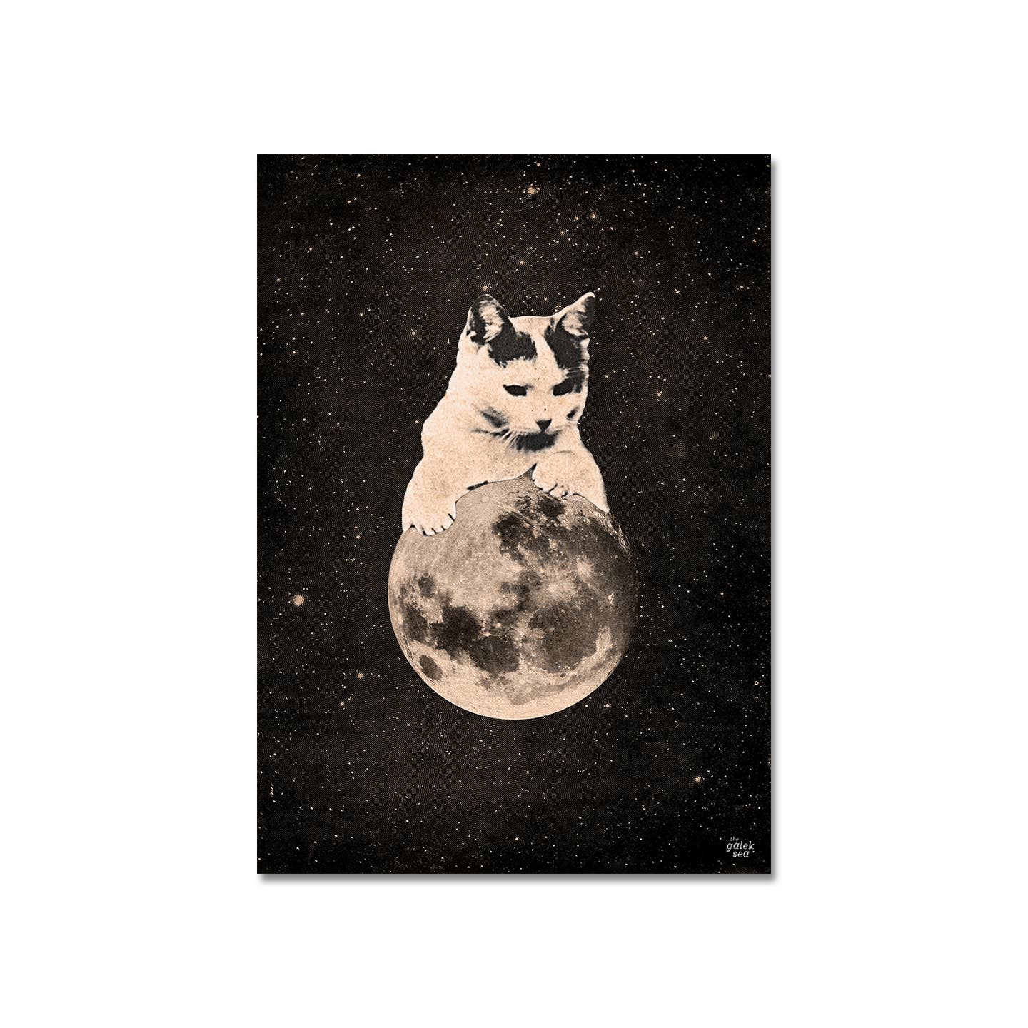 The Galek Sea – Engroshandel Kunsttryk – Mooncat 2 Print0