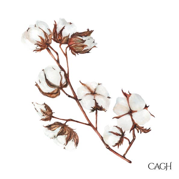 Cotton Luncheon Paper Napkin for wholesale by CAGH