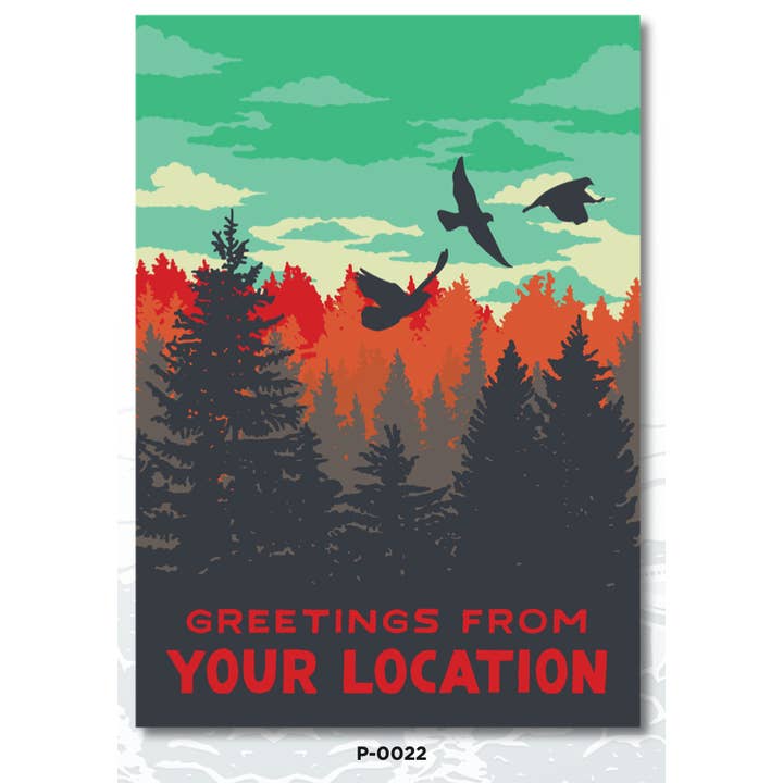 Vibrant Birds Postcard for wholesale by Nature Bound Co