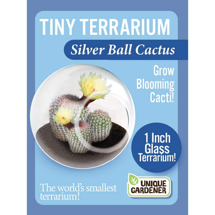Silver Circle Products - Wholesale Retailer Display - Home & Living - Tiny Terrarium Cactus Counter Display with 3 Varieties 2