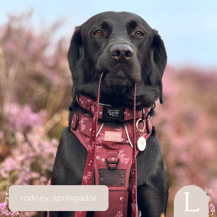 Bramble & Co - Wholesale Pet Leash - Dog - Swivel Lead - Wild berry Woodland2