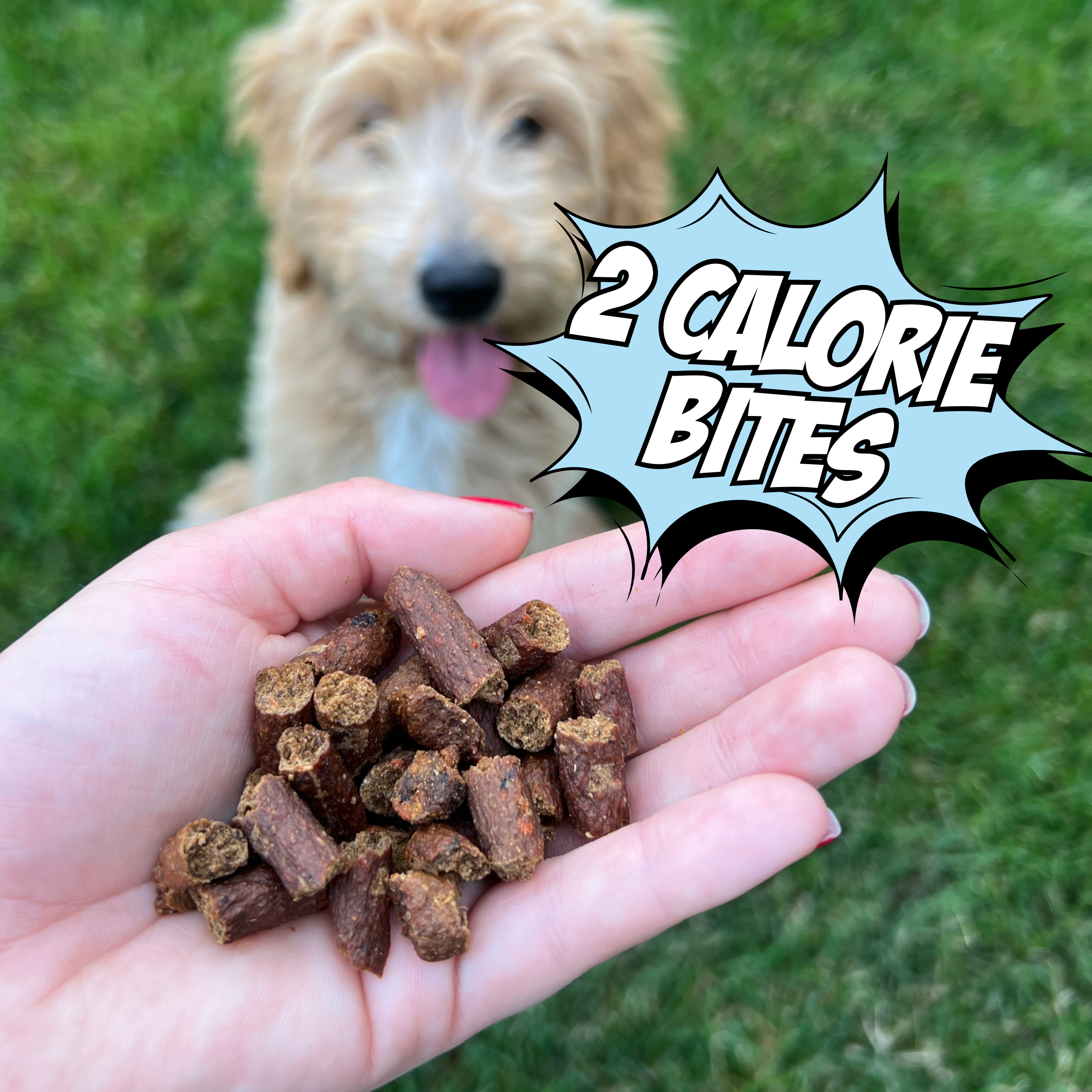 Chippin - Wholesale Pet Treats - Dog - Training Bites Fish Sweet Potato Cranberry Soft Dog Treats2