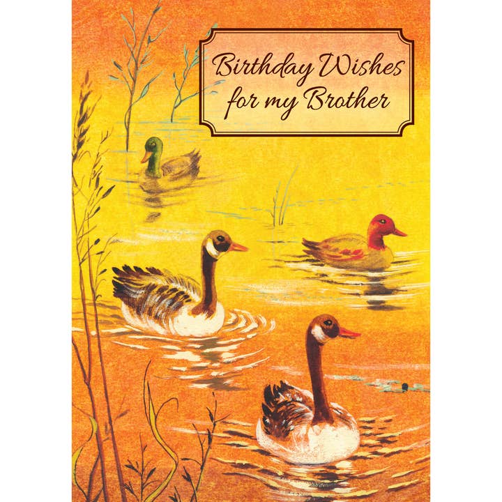 FR0328 Birthday Card Brother for wholesale by Shade Tree Greetings
