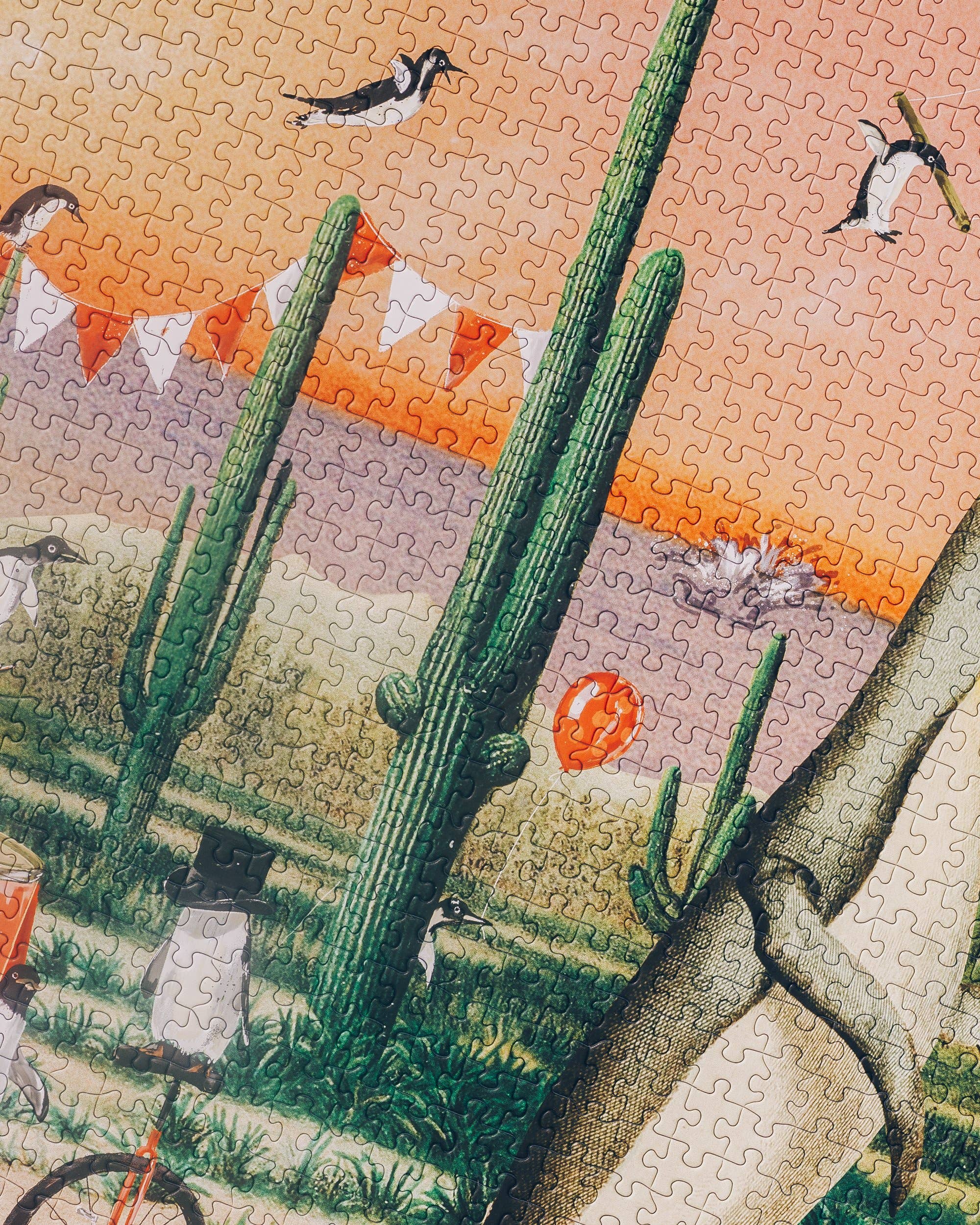 Different Puzzles - Vente Puzzle – adulte - Prickly Playground — 1 000 pièces1