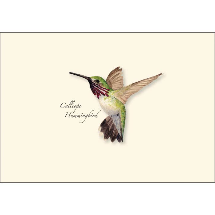 Earth Sky + Water - Wholesale Stationery/Notecard Set - Western Hummingbird Assortment