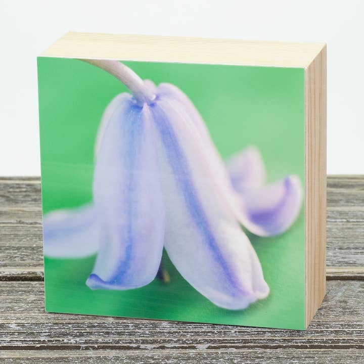 Blue Bell 4"x4" Aluminum Photograph On Wood Block for wholesale by Wyldeflower Studio
