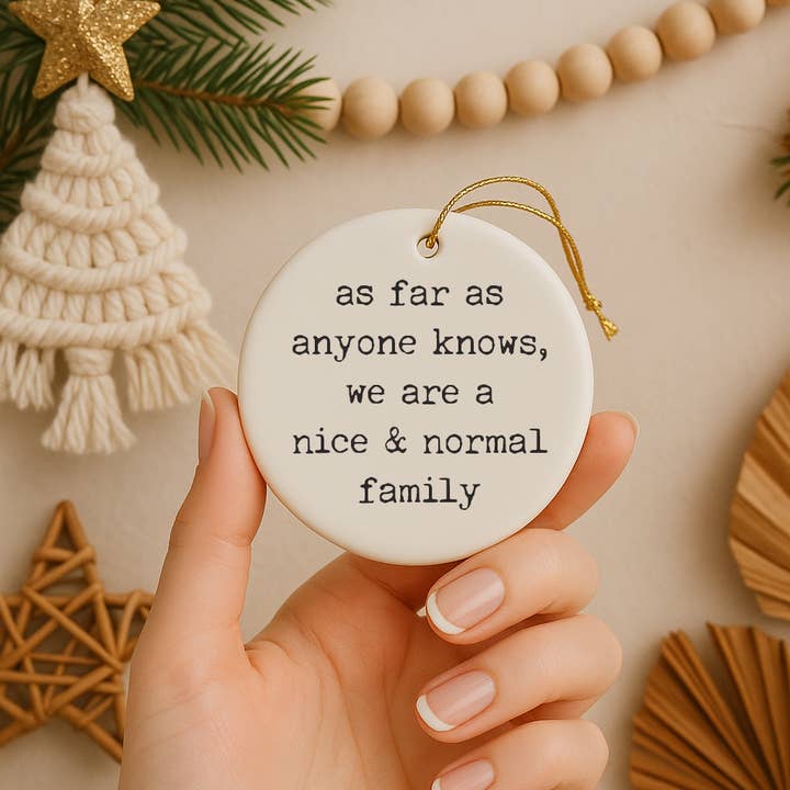 521handmade - Wholesale Ornament - Funny "Nice Normal Family" Christmas Ornament3