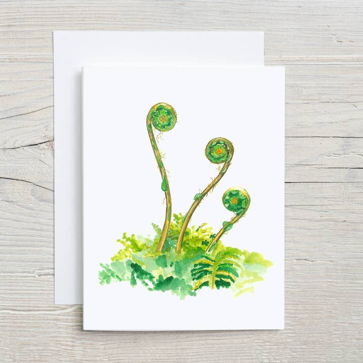 Carta ad acquerello con felce a spirale – Botanica ispirata alla natura per la vendita all'ingrosso da parte di Liz Pope Designs