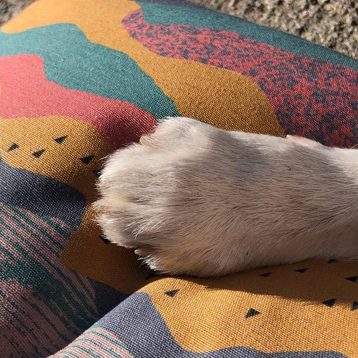 GOBAK – Großhandel Haustierbett – Katze/Hund – Cloud-Bett