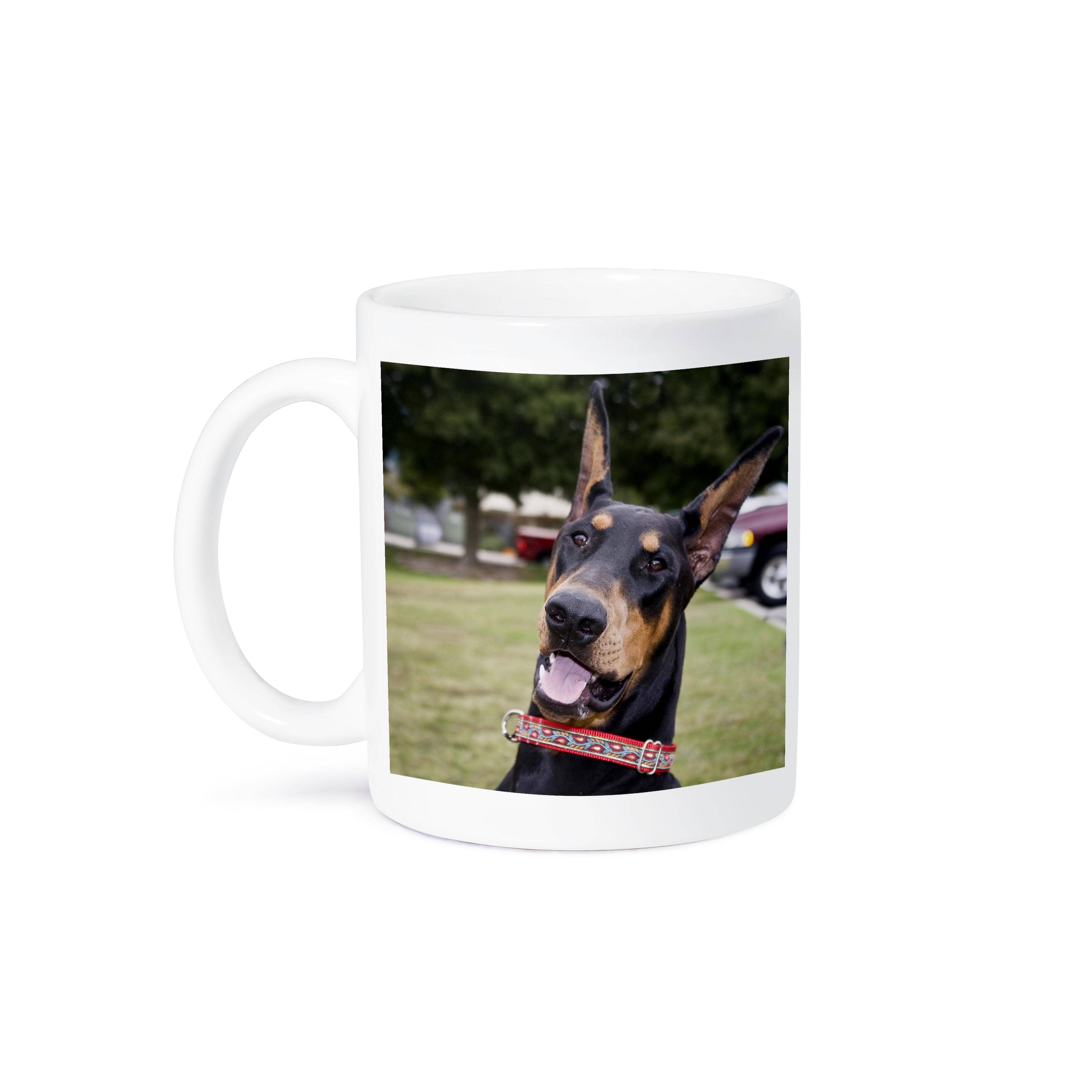 3dRose - Wholesale Coffee Mug - 3dRose, Fun photo of a Doberman Pinscher dog - US05 ZMU0264 - Zandria Muench Beraldo, Mug8