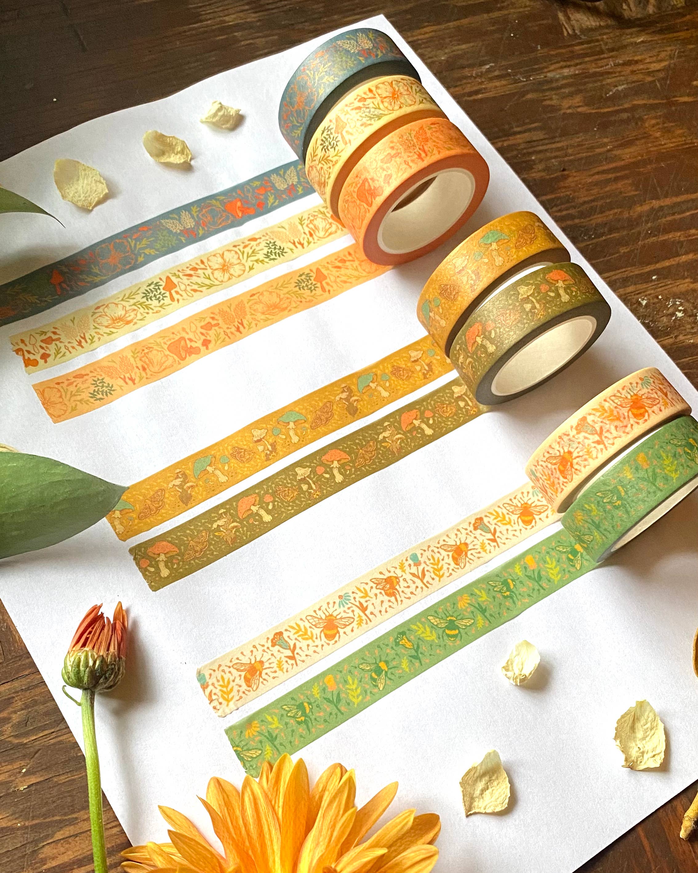 Mustard Beetle - Wholesale Washi Tape - Floral, Poppies + Mushrooms, 1/2" Washi Tape Roll8