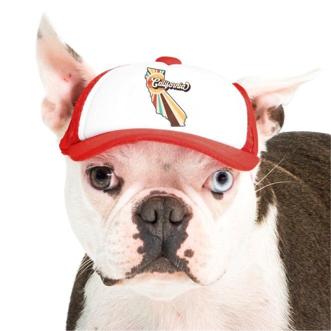 PupLid - Wholesale Pet Hat - Dog - Vintage State | Trucker Hat for Dogs60